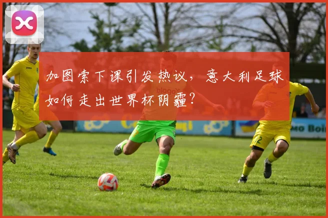 加图索下课引发热议,意大利足球如何走出世界杯阴霾?