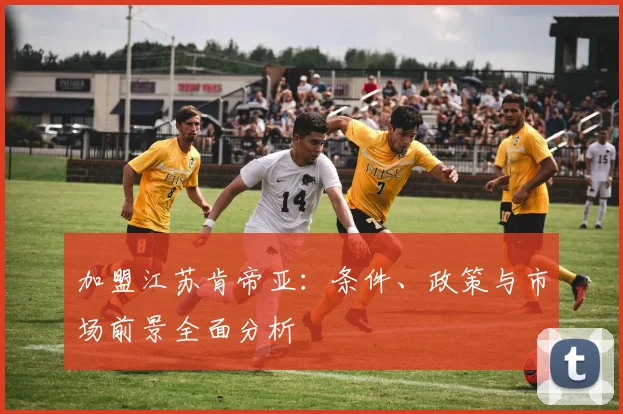 加盟江苏肯帝亚：条件、政策与市场前景全面分析