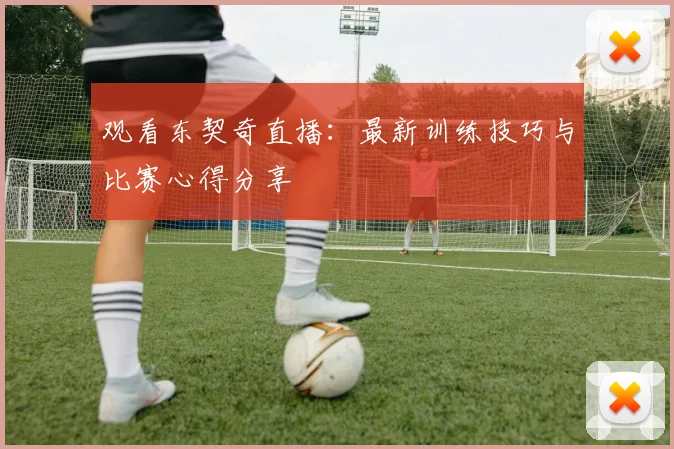 观看东契奇直播：最新训练技巧与比赛心得分享